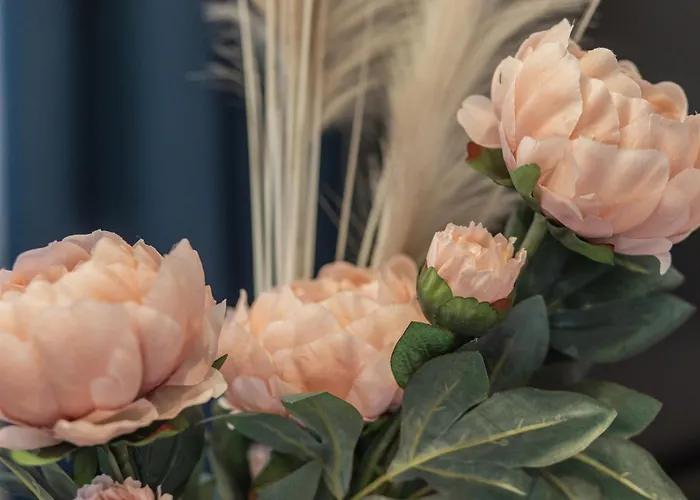 Brand New 4 Bedroom 2,5 Bath , Lux , *